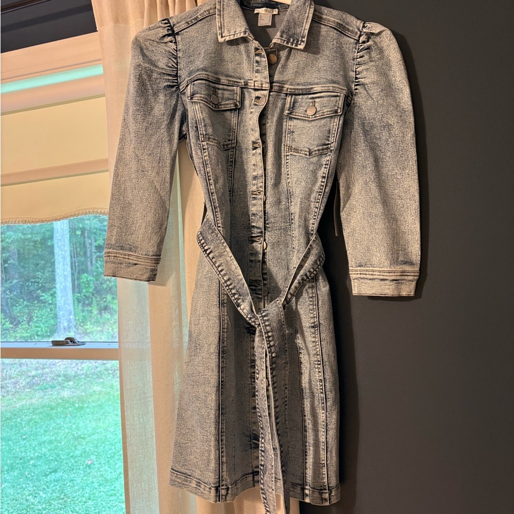 Venus denim dress